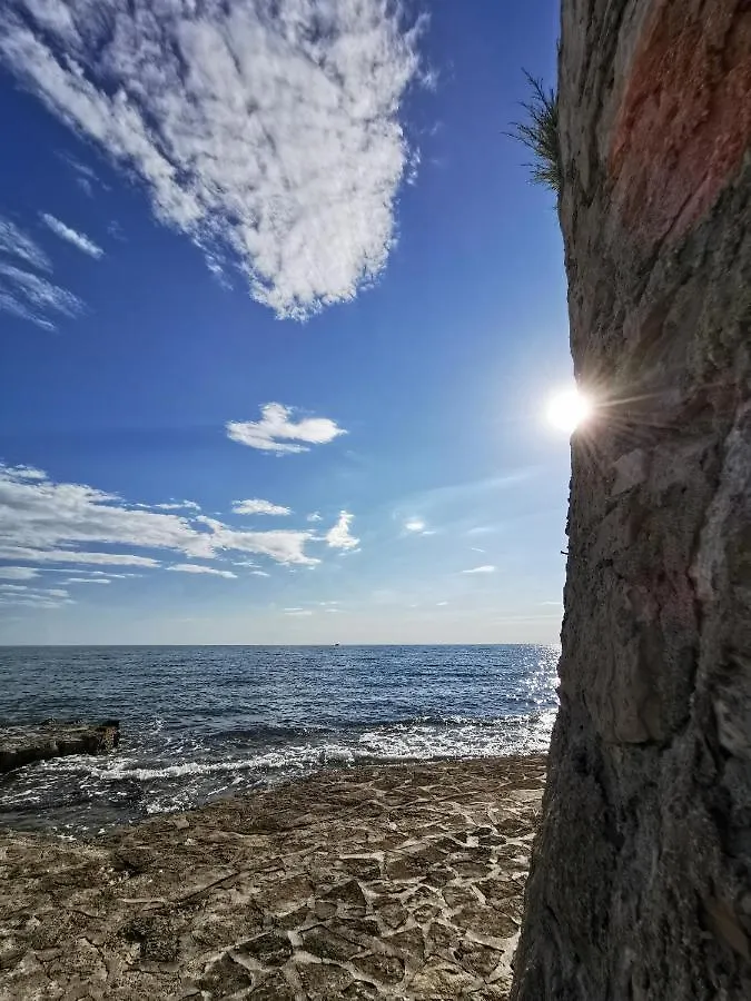 Nina Deluxe Superior 5 Star Apartment, Your Piece Of Heaven By The Sea & Park Novigrad Istria Διαμέρισμα