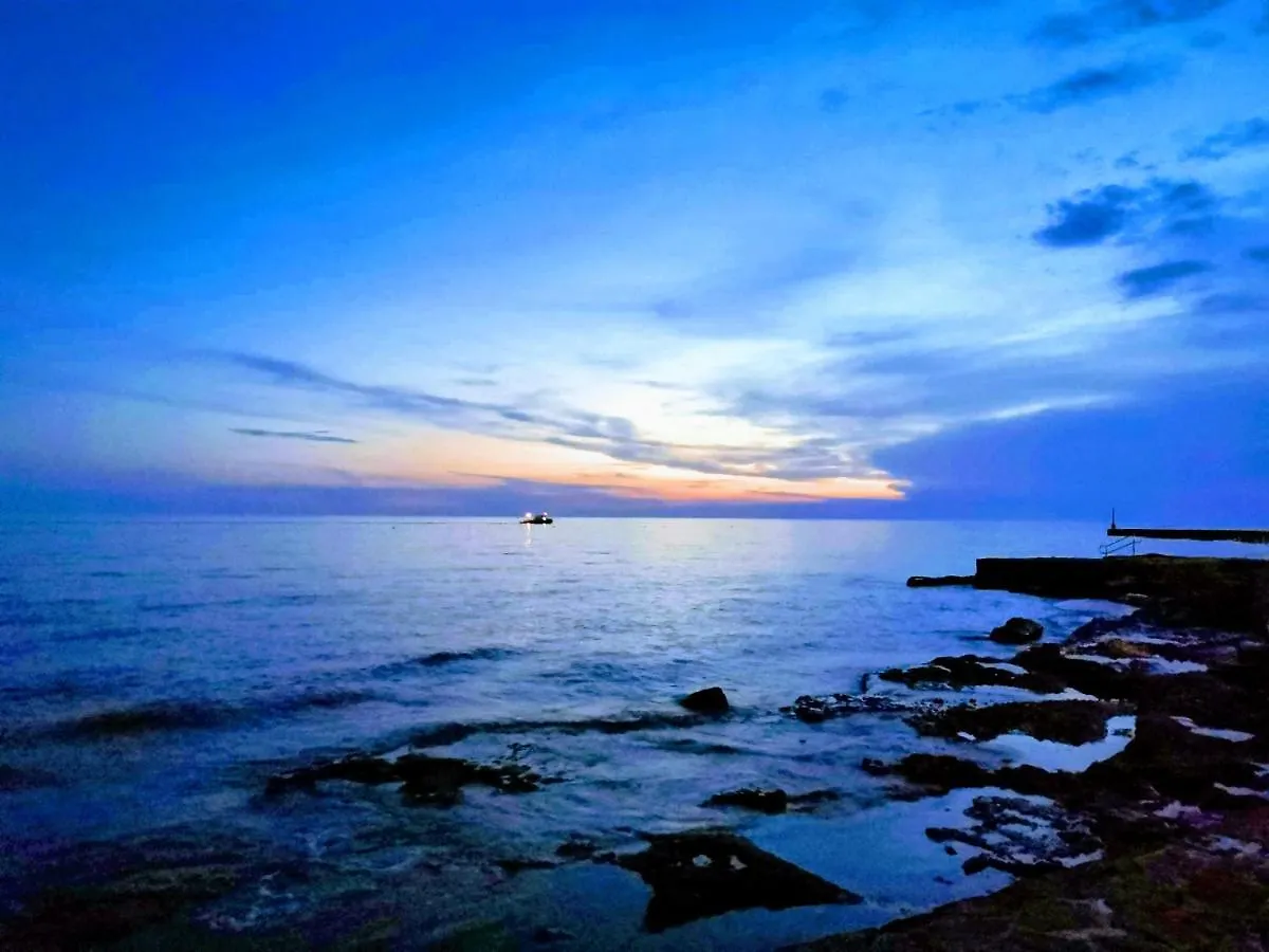 Lägenhet Nina Deluxe Superior 5 Star Apartment, Your Piece Of Heaven By The Sea & Park Novigrad Istria